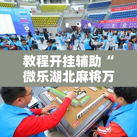教程开挂辅助“微乐湖北麻将万能开挂器通用版”其实确实有挂