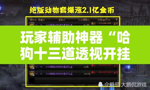 玩家辅助神器“哈狗十三道透视开挂”附辅助神器开挂脚本详细步骤