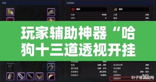 玩家辅助神器“哈狗十三道透视开挂”附辅助神器开挂脚本详细步骤