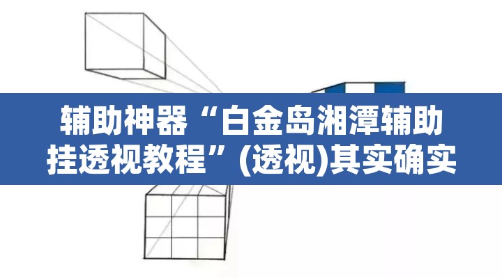 辅助神器“白金岛湘潭辅助挂透视教程”(透视)其实确实有挂