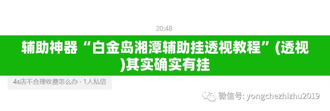 辅助神器“白金岛湘潭辅助挂透视教程	”(透视)其实确实有挂