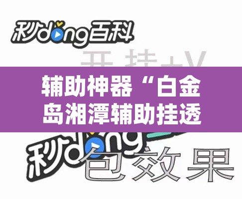 辅助神器“白金岛湘潭辅助挂透视教程”(透视)其实确实有挂