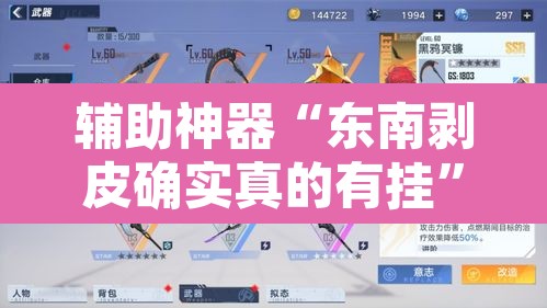 辅助神器“东南剥皮确实真的有挂”其实确实有挂