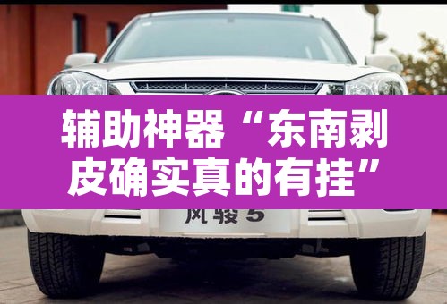 辅助神器“东南剥皮确实真的有挂”其实确实有挂