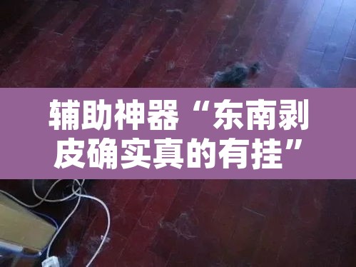 辅助神器“东南剥皮确实真的有挂”其实确实有挂