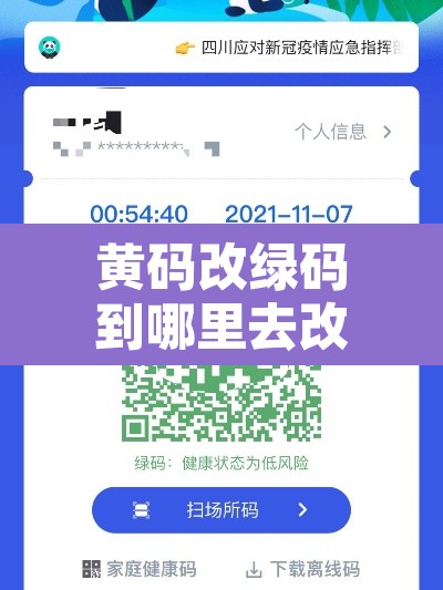 黄码改绿码到哪里去改 → 黄码改绿码需要什么