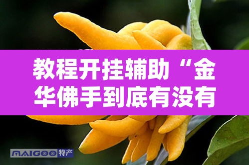 教程开挂辅助“金华佛手到底有没有挂	”(透视挂)辅助透视教程