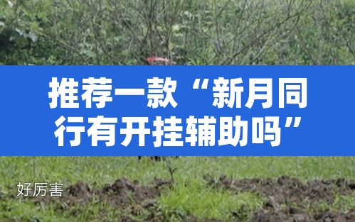 推荐一款“新月同行有开挂辅助吗	”其实确实有挂
