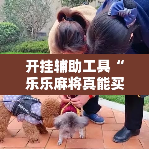 开挂辅助工具“乐乐麻将真能买到挂吗”(透视)其实确实有挂