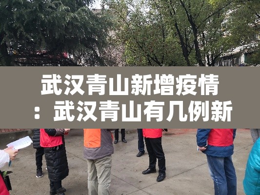 武汉青山新增疫情:武汉青山有几例新冠肺炎 武汉青山新增疫情:武汉青山有几例新冠肺炎