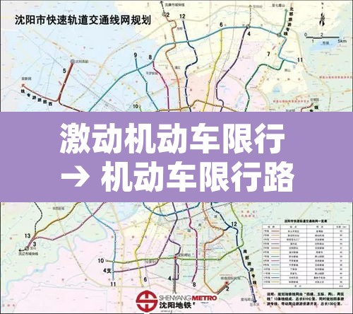 激动机动车限行 → 机动车限行路段行驶如何处罚