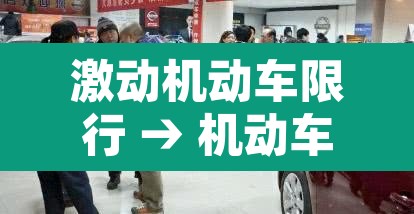 激动机动车限行 → 机动车限行路段行驶如何处罚