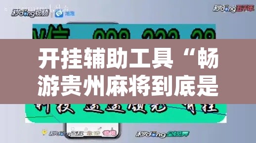 开挂辅助工具“畅游贵州麻将到底是不是挂”(透视挂)辅助透视教程