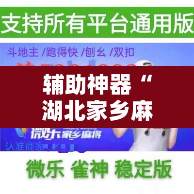 辅助神器“湖北家乡麻将可以开挂吗”开挂辅助脚本+详细开挂安装教程