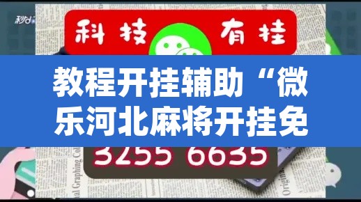 教程开挂辅助“微乐河北麻将开挂免费下载”(透视挂)辅助透视教程
