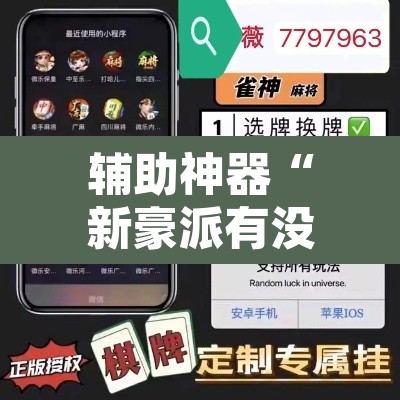 辅助神器“新豪派有没有挂”开挂辅助脚本+详细开挂安装教程