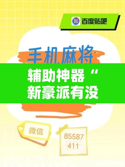 辅助神器“新豪派有没有挂”开挂辅助脚本+详细开挂安装教程