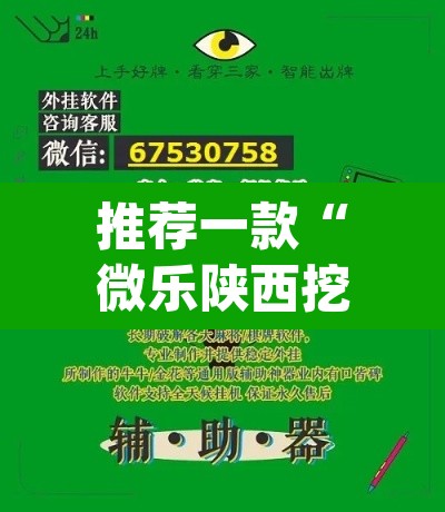 推荐一款“微乐陕西挖坑开挂神器”(透视)其实确实有挂