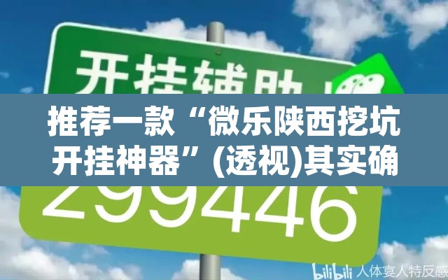 推荐一款“微乐陕西挖坑开挂神器”(透视)其实确实有挂