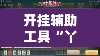 开挂辅助工具“丫丫衡阳字牌有没有挂”(透视挂)辅助透视教程