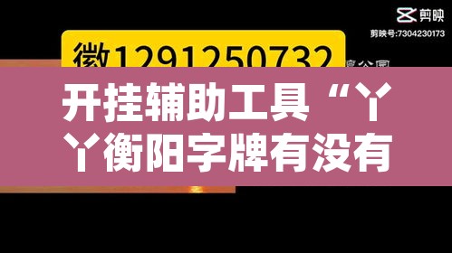 开挂辅助工具“丫丫衡阳字牌有没有挂”(透视挂)辅助透视教程
