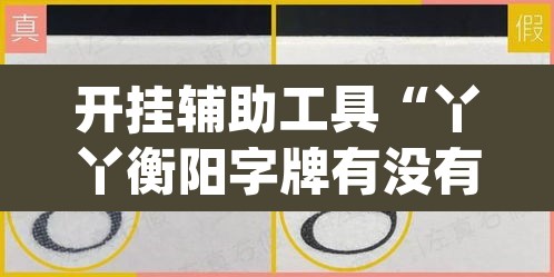 开挂辅助工具“丫丫衡阳字牌有没有挂”(透视挂)辅助透视教程
