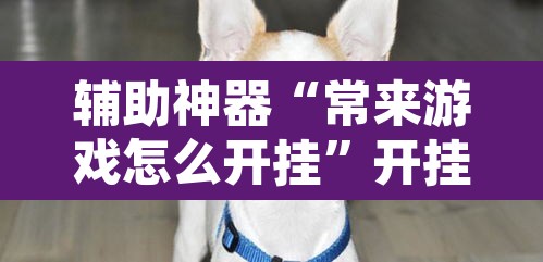 辅助神器“常来游戏怎么开挂	”开挂辅助脚本+详细开挂安装教程