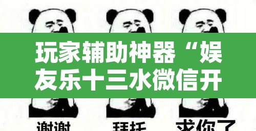 玩家辅助神器“娱友乐十三水微信开挂”开挂辅助脚本+详细开挂安装教程