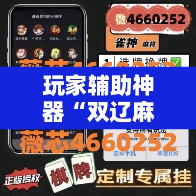玩家辅助神器“双辽麻将辅助开挂神器	”其实确实有挂