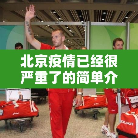 北京疫情已经很严重了的简单介绍