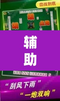 辅助神器“哥哥杭州麻将软件开挂器	”(透视挂)辅助透视教程