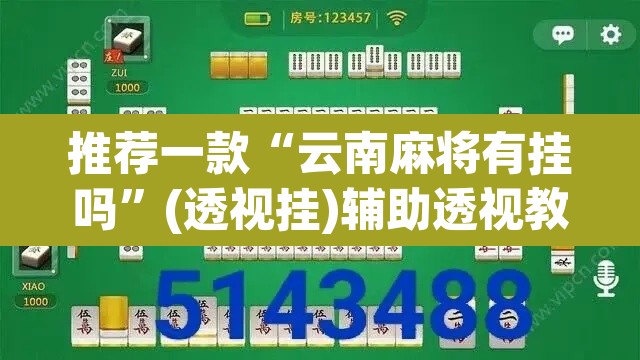 推荐一款“云南麻将有挂吗”(透视挂)辅助透视教程