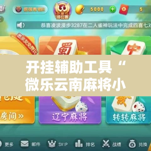 开挂辅助工具“微乐云南麻将小程序开挂免费软件	”(透视挂)辅助透视教程