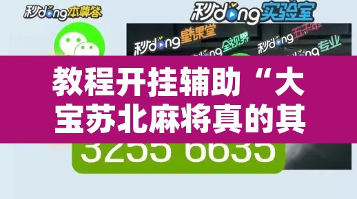 教程开挂辅助“大宝苏北麻将真的其实有挂”其实确实有挂