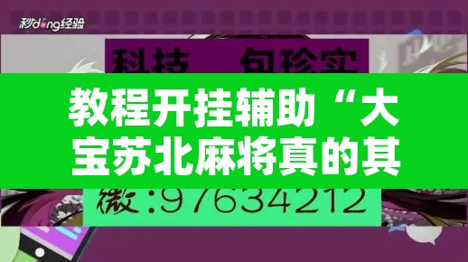 教程开挂辅助“大宝苏北麻将真的其实有挂”其实确实有挂