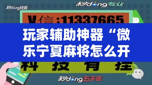 玩家辅助神器“微乐宁夏麻将怎么开挂	”(透视)其实确实有挂
