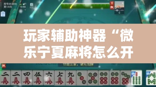 玩家辅助神器“微乐宁夏麻将怎么开挂”(透视)其实确实有挂