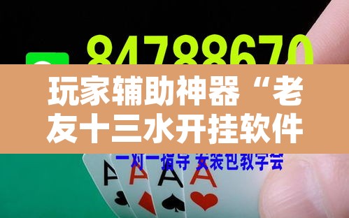 玩家辅助神器“老友十三水开挂软件教程”其实确实有挂