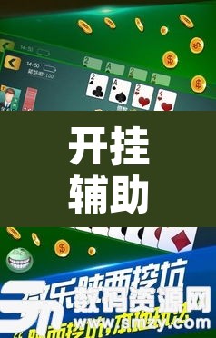 开挂辅助工具“微乐陕西挖坑辅助”其实确实有挂