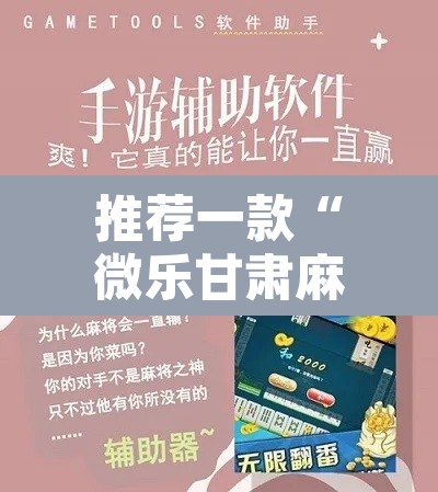 推荐一款“微乐甘肃麻将万能开挂器通用版	”开挂辅助脚本+详细开挂安装教程