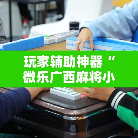 玩家辅助神器“微乐广西麻将小程序开挂神器	”其实确实有挂