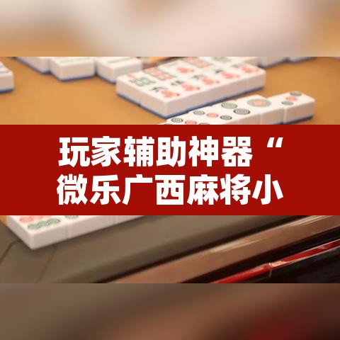 玩家辅助神器“微乐广西麻将小程序开挂神器”其实确实有挂