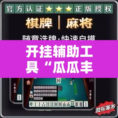 开挂辅助工具“瓜瓜丰城棋牌开挂器	”开挂辅助脚本+详细开挂安装教程