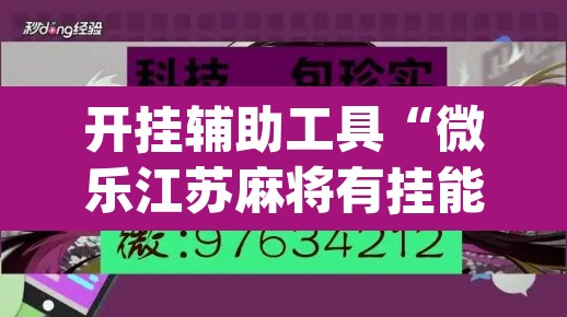 开挂辅助工具“微乐江苏麻将有挂能查出来吗	”(透视)其实确实有挂