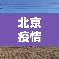 北京疫情分布情况 → 北京疫情分布2020