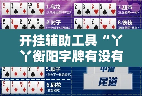 开挂辅助工具“丫丫衡阳字牌有没有挂”(透视)其实确实有挂