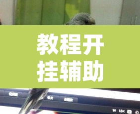 教程开挂辅助“新青鸟真的有挂吗”其实确实有挂