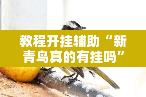教程开挂辅助“新青鸟真的有挂吗	”其实确实有挂