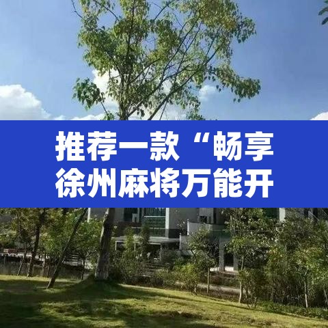 推荐一款“畅享徐州麻将万能开挂器”附辅助神器开挂脚本详细步骤