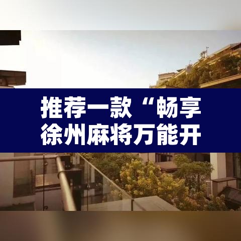 推荐一款“畅享徐州麻将万能开挂器”附辅助神器开挂脚本详细步骤